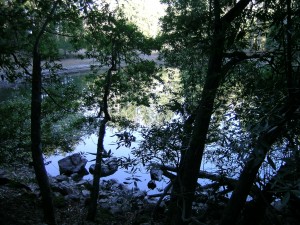 Merganser Pond California